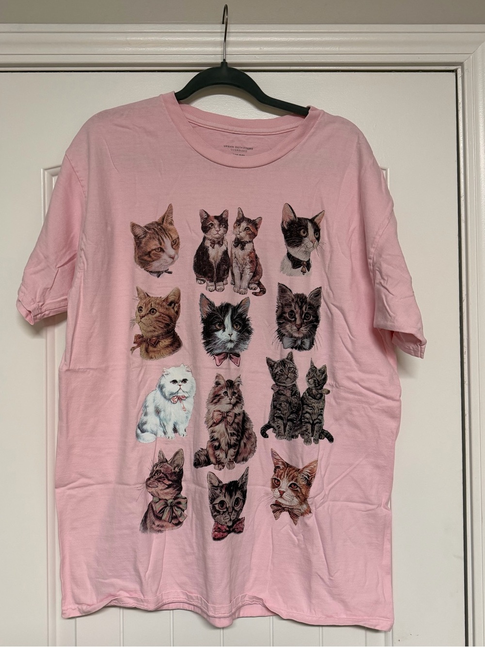 Urban Outfitters Pink Cat Graphic Oversized Tee